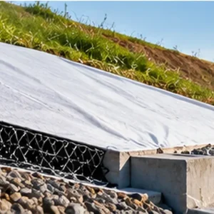 geobuild-drainage-geocomposite-slope-drainage
